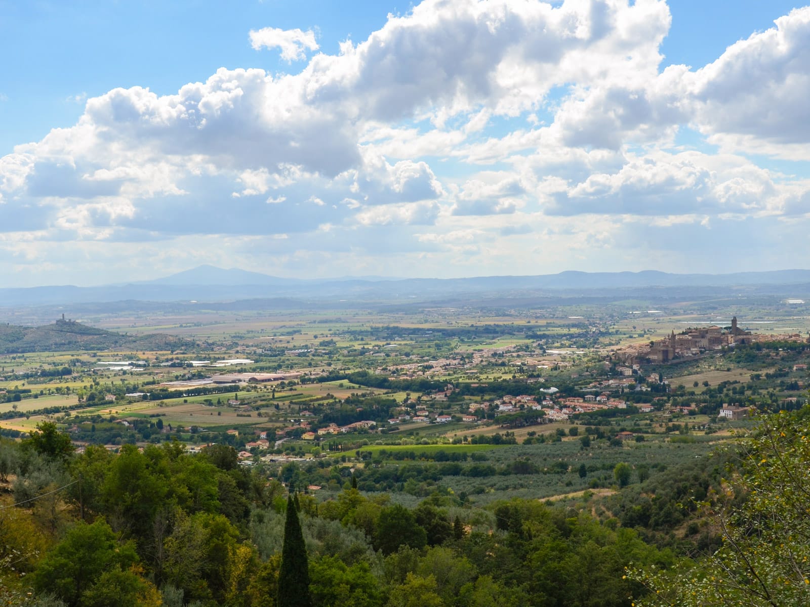 Oleificio Remo Nocentini - Olio extravergine d’oliva a Castiglion Fiorentino, in Toscana